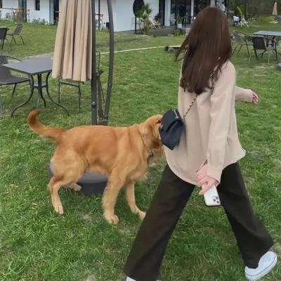 复仇同学会